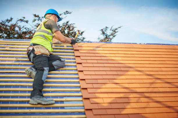 Best Roof Insulation Installation  in Carl Junction, MO